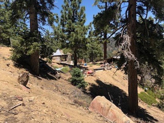 Land for sale in Angelus Oaks