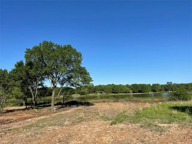 Land for sale in Rains, Texas