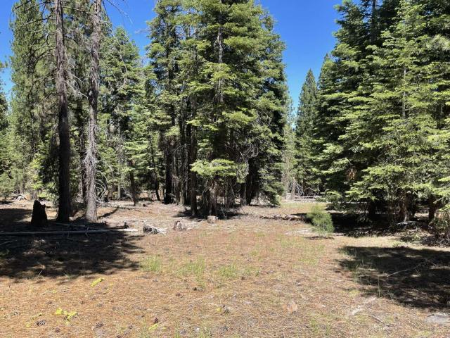 Land for sale in Alturas, Modoc County