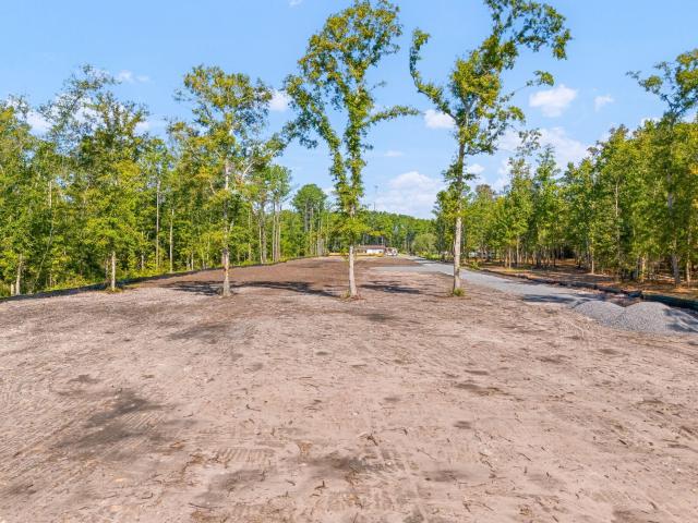 Land for sale in South Carolina