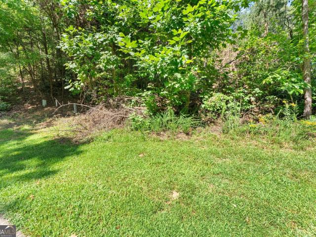 Land for sale in Clarkesville, Georgia