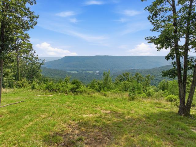Land for sale in Jasper, East Tennessee