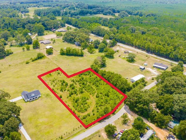 Land for sale in Stapleton, Alabama