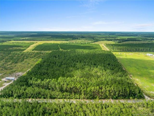 Land for sale in Deridder, Louisiana
