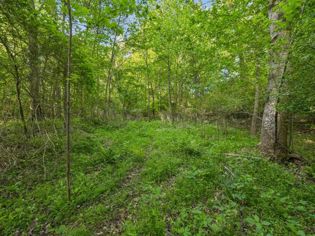Land for sale in Tennessee