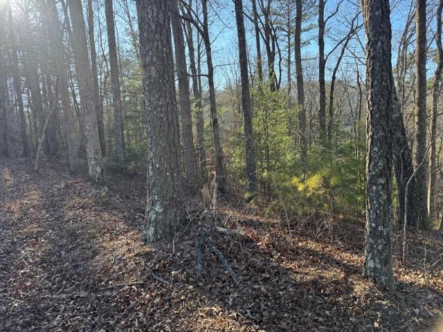 Land for sale in Pickens, Georgia