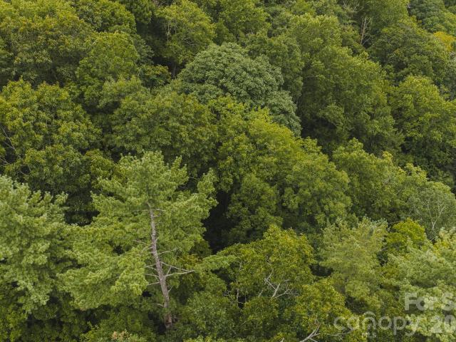 Land for sale in Linville Falls, Marion