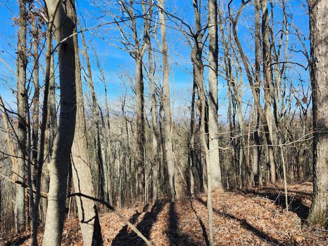 Land for sale in Jasper, East Tennessee