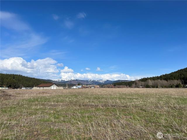 Land for sale in Cle Elum, Washington