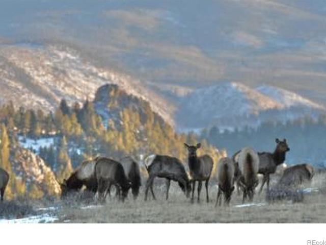 Land for sale in Livermore, Colorado