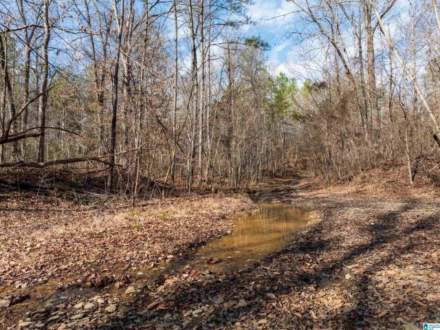 Land for sale in Alabama