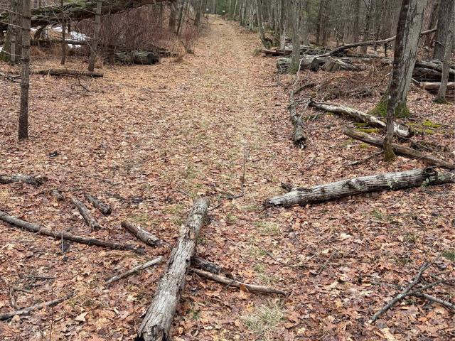Land for sale in Wurtsboro, New York