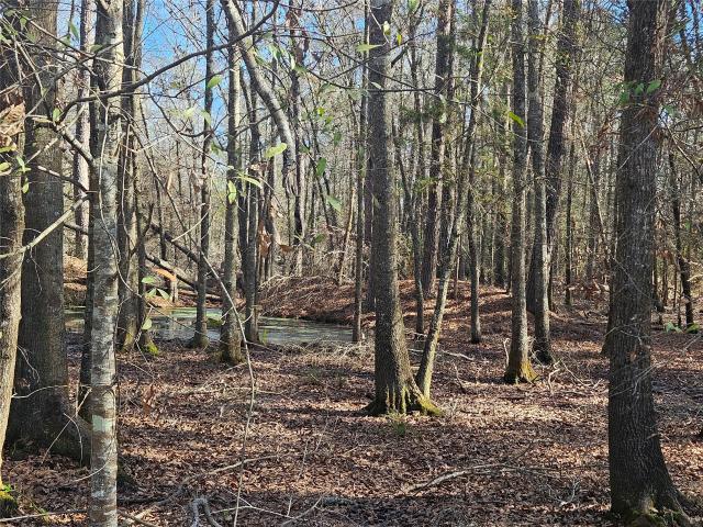 Land for sale in Shepherd, Texas
