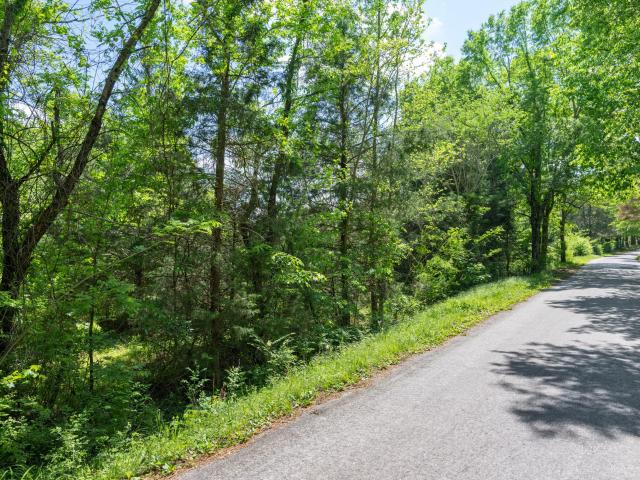 Land for sale in Tennessee