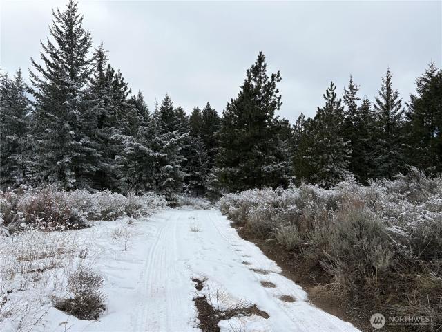 Land for sale in Waterville, Washington