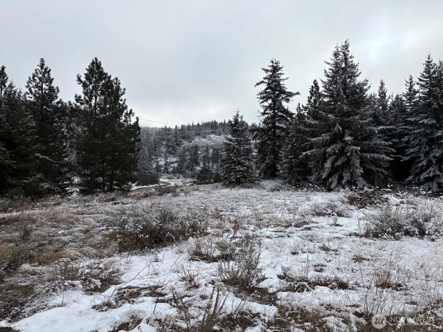 Land for sale in Waterville, Washington
