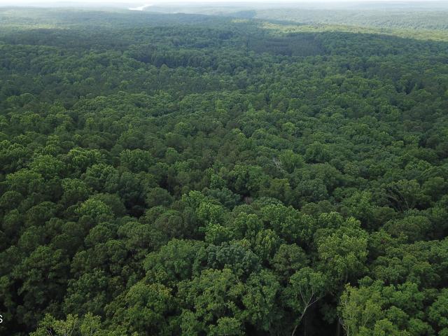 Land for sale in Chatham, North Carolina