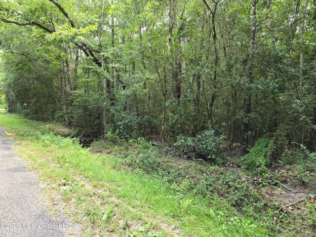 Land for sale in Picayune, Mississippi