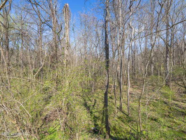 Land for sale in Vicksburg, Mississippi