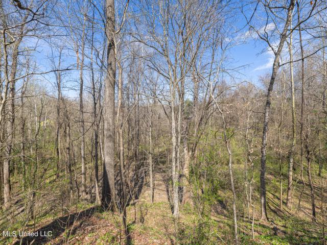 Land for sale in Vicksburg, Mississippi
