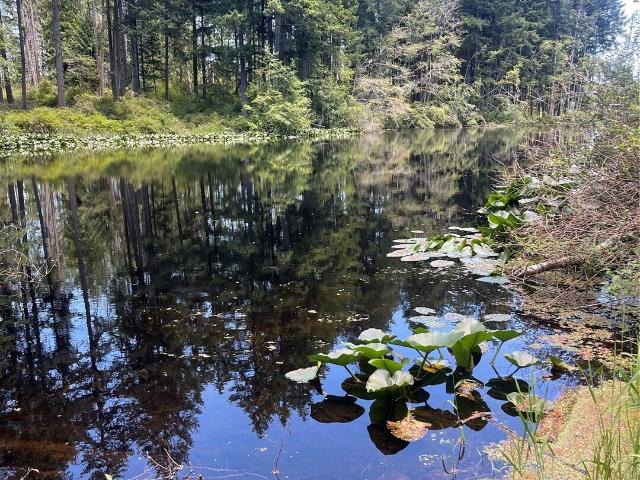 Land for sale in Friday Harbor, Washington