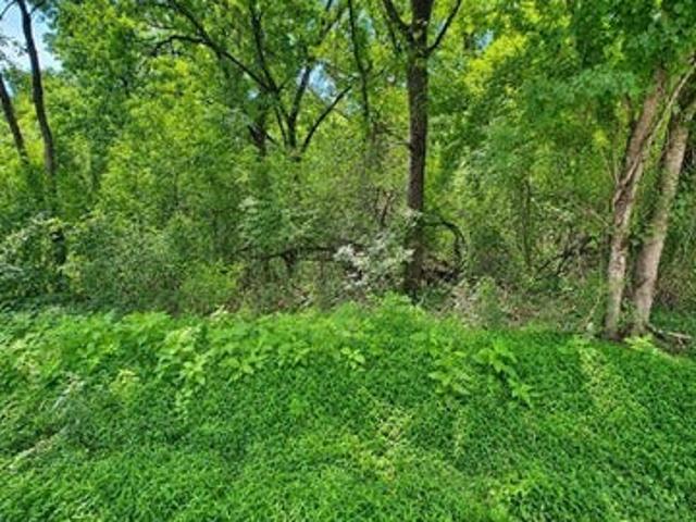 Land for sale in Tennessee