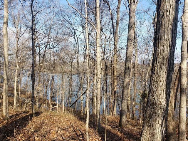 Land for sale in Tennessee