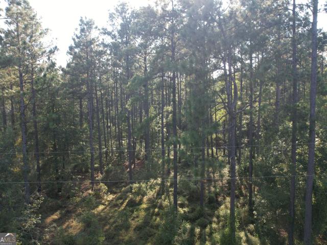 Land for sale in Dublin, Laurens County