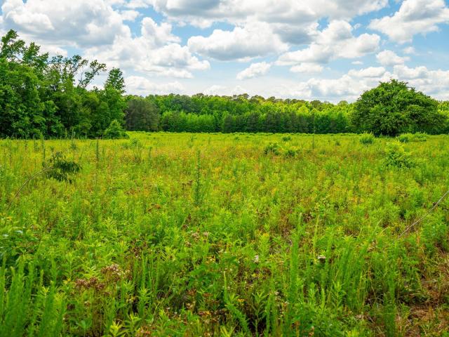 Land for sale in Cottageville, South Carolina