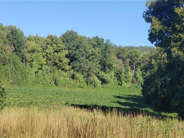 Land for sale in Stokes, North Carolina