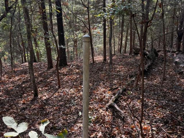 Land for sale in Muhlenberg County, Kentucky