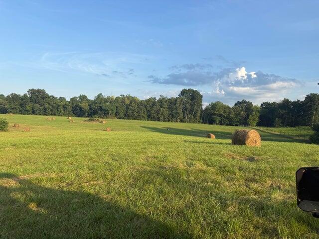 Land for sale in Berry, Kentucky