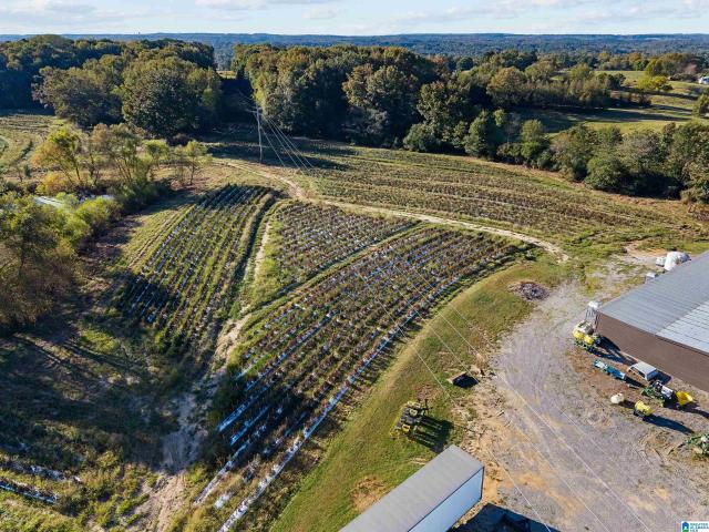 Land for sale in Blount, Alabama