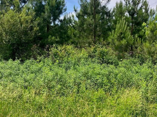 Land for sale in Stanfield, North Carolina