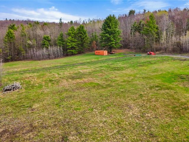 Land for sale in Candor, New York