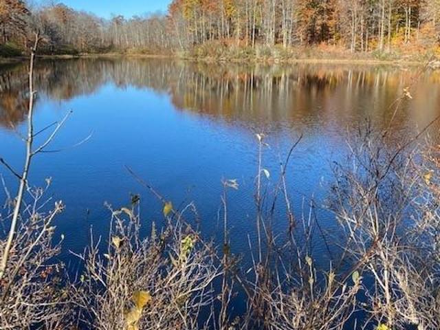Land for sale in Goshen, Connecticut