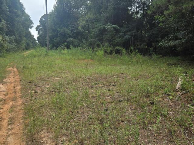 Land for sale in Enterprise, Alabama