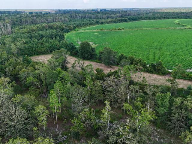 Land for sale in Hazlehurst, Georgia