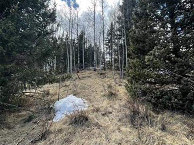 Land for sale in Cripple Creek