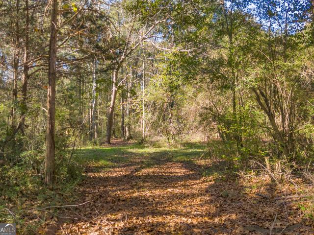 Land for sale in Canon, Georgia