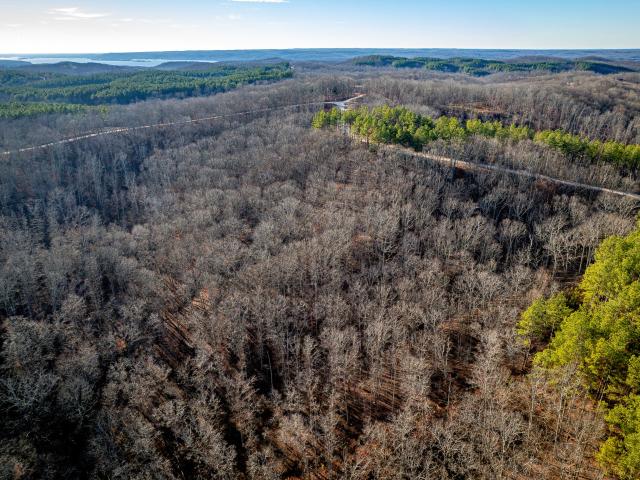 Land for sale in Tennessee