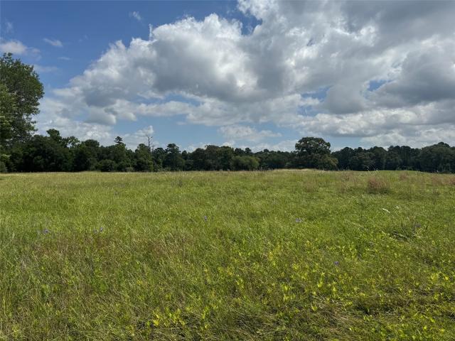 Land for sale in Texas