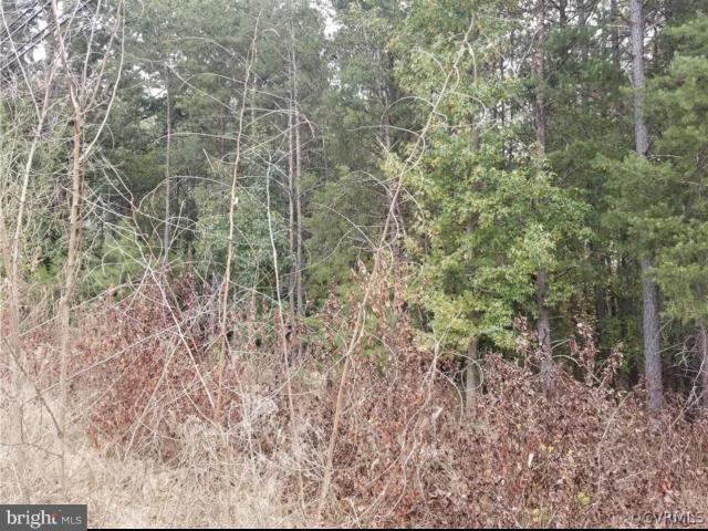 Land for sale in Virginia