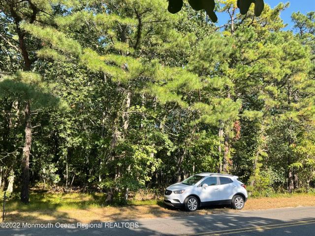 Land for sale in Browns Mills, New Jersey