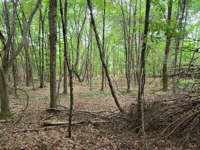 Land for sale in Georgia
