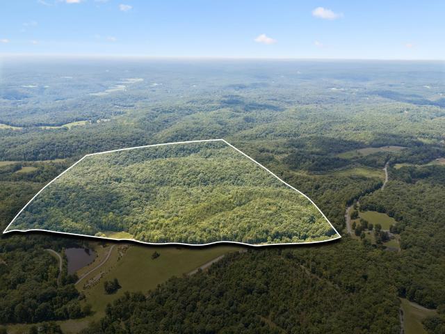 Land for sale in Tennessee
