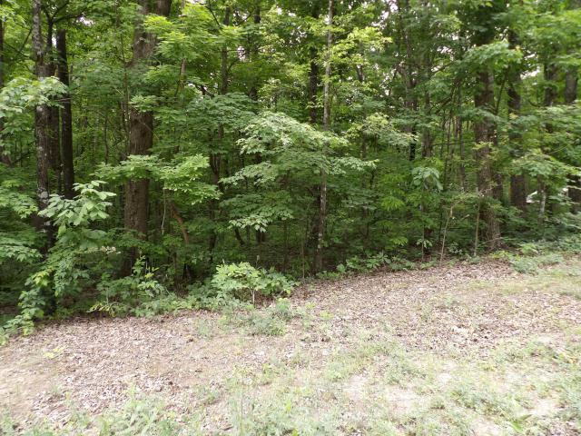 Land for sale in Tennessee
