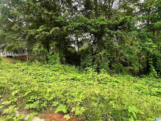 Land for sale in Eastaboga, Alabama