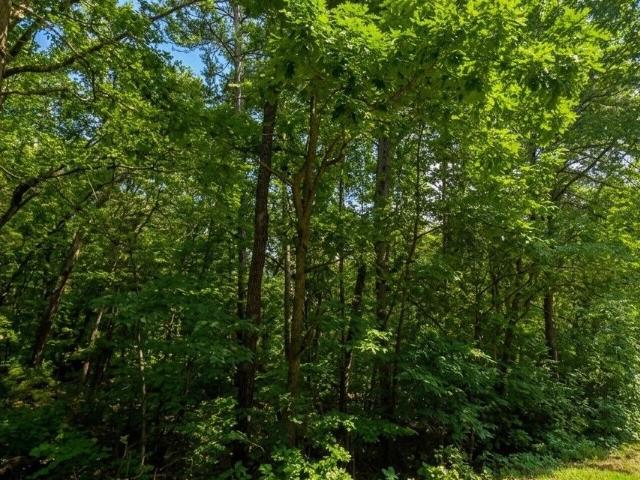 Land for sale in Toccoa, Georgia