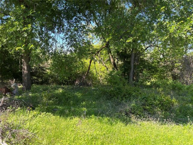 Land for sale in Blue Ridge, Texas